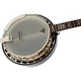 Fender Deluxe Concert Tone 58 5-String Banjo Thumbnail 3