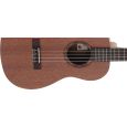 Baton Rouge UR 21-B Bariton-Ukulele Thumbnail 4