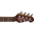 Music Man Silhouette Special HSS Pau Ferro  Classic Honey Burst Thumbnail 5