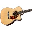 Fender PM-3 Limited Adirondack RW Westerngitarre Thumbnail 3