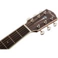 Fender PM-1 Limited Adirondack MH Westerngitarre Thumbnail 7