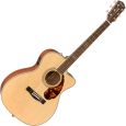 Fender PM-3 Limited Triple 0 MAH Nat Thumbnail 1