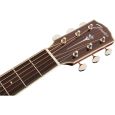 Fender PM-3 Limited Triple 0 MAH Nat Thumbnail 7