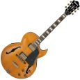 Ibanez AKJV90D-DAL E-Gitarre Thumbnail 1