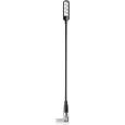 Adam Hall SLED 1 ULTRAXLR 4 AC Schwanenhalsleuchte Thumbnail 3