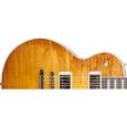 FGN Neo Classic LS 30 BN VV E-Gitarre Thumbnail 3