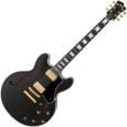 FGN Masterfield Semi Custom HH BK E-Gitarre Thumbnail 1