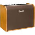 Fender Acoustic 100 Thumbnail 2