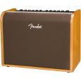 Fender Acoustic 100 Thumbnail 3