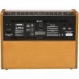 Fender Acoustic 100 Thumbnail 5