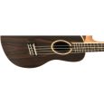 Lanikai LKUZRC Ziricote Konzert-Ukulele inkl. Gigbag Thumbnail 4