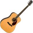 Fender PM 1 Deluxe Dreadnought Paramount Natur Thumbnail 1
