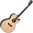 Washburn EA20SNB Nuno Bettecourt Edition Thumbnail 1