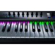 Native Instruments KOMPLETE KONTROL S49 B-Ware Thumbnail 6