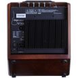 Acus ONE-5T Simon Wood für akustische Gitarre Thumbnail 6