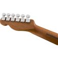 Fender Ltd. Mahogany AM Pro Tele DLX SHW CR Thumbnail 5