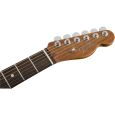 Fender Ltd. Mahogany AM Pro Tele DLX SHW CR Thumbnail 6