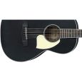 Ibanez PN14-WK Westerngitarre Thumbnail 3