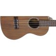Lanikai Curly Koa CKTU-TEK Tenor-Ukulele Thumbnail 4