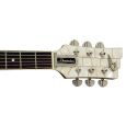 Duesenberg Starplayer TV Ice Pearl E-Gitarre inkl. Koffer Thumbnail 4