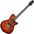 Godin xtSA Light Burst Flame HG E-Gitarre Thumbnail 1