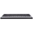 Dexibell Vivo Portable P7 Stage Piano Thumbnail 7