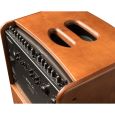 Hughes & Kettner era 2 wood Thumbnail 5