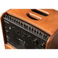 Hughes & Kettner era 2 wood Thumbnail 6