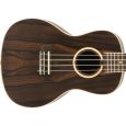 Lanikai Exotic Ziricote ZR-C Konzert-Ukulele inkl. Gigbag Thumbnail 3