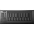 ROLI Seaboard Rise 25 Thumbnail 1