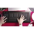 ROLI Seaboard Rise 25 Thumbnail 13