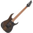 Ibanez RGRT421-WNF E-Gitarre Thumbnail 1