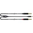Cordial Klinke 3,5mm stereo / 2x Klinke 6,3mm mono CFY 3 WPP-LONG Thumbnail 1