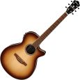Ibanez AEG10II-NNB Westerngitarre Thumbnail 1