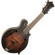 Gold Tone F-6 Mando-Guitar inkl. Softcase Thumbnail 1