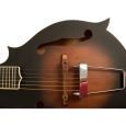 Gold Tone F-6 Mando-Guitar inkl. Softcase Thumbnail 2