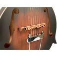 Gold Tone F-6 Mando-Guitar inkl. Softcase Thumbnail 3