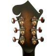 Gold Tone F-6 Mando-Guitar inkl. Softcase Thumbnail 6