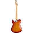 Fender Ltd. 2018 American Elite Nashville Tele MN ACB E-Gitarre Thumbnail 2