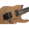 Charvel Pro-Mod DK24 HH FR EBN Okoume E-Gitarre Thumbnail 6