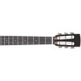 Ibanez AVN9-OPN Artwood Vintage Westerngitarre Thumbnail 4