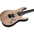 Schecter Banshee Elite 6 CN E-Gitarre Thumbnail 2