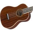 Fender Grace Vanderwaal Signature Uke WN NAT Konzert-Ukulele inkl. Gigbag Thumbnail 4
