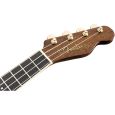 Fender Grace Vanderwaal Signature Uke WN NAT Konzert-Ukulele inkl. Gigbag Thumbnail 6