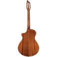 Breedlove Pursuit Nylon BRPUN31CE Konzertgitarre Thumbnail 2