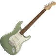 Fender Player Strat PF SGM E-Gitarre Thumbnail 1