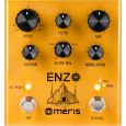 Meris Enzo Thumbnail 1