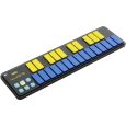 Korg nano KEY 2 blue/yellow Thumbnail 2
