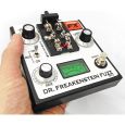 Rainger FX Dr Freakenstein Fuzz DrFF-3 inkl. Igor Thumbnail 6
