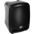 LD Systems Roadboy 65 SP passiver Lautsprecher B-Ware Thumbnail 1